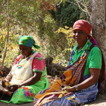 Baleni Cultural Camp, 吉亚尼 — 照片 2
