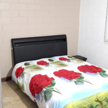 House With 2 Bedrooms in La Plaine des Palmistes, With Wonderful Mount, 拉普莱讷-德帕尔米斯特 — 照片 2