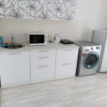 Apartment Irkutsk, Иркутск — фото 2