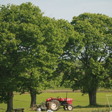 Agri In Holiday, Хиросаки — фото 5