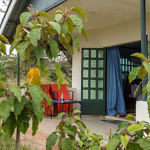 Masai Mara Safari Lodge Hotel, 马拉里安塔 — 照片 4