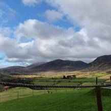 Gorse Hill Farm, Kilcoo — photo 2