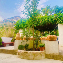 Casa Puccio B&B, Кальтабеллотта — фото 3
