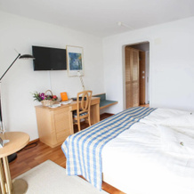 Garni Hotel Frohburg, 韦吉斯 — 照片 5
