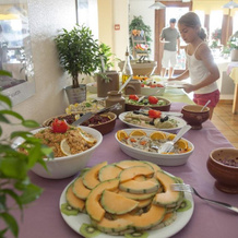 VVF Haute Loire Haute Ardèche, Tence, 坦斯 — 照片 5