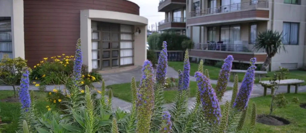 Luxury Apartment Chile, San Pedro de la Paz, San Pedro de la Paz — photo 1