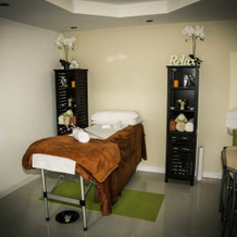 River Mansion Spa, Ллангелер — фото 4