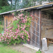 Detached Holiday Home in an Idyllic Quiet Location, 诺因堡福姆瓦尔德 — 照片 5