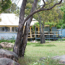 Twisted Gum Cottage, Ballandean — photo 3