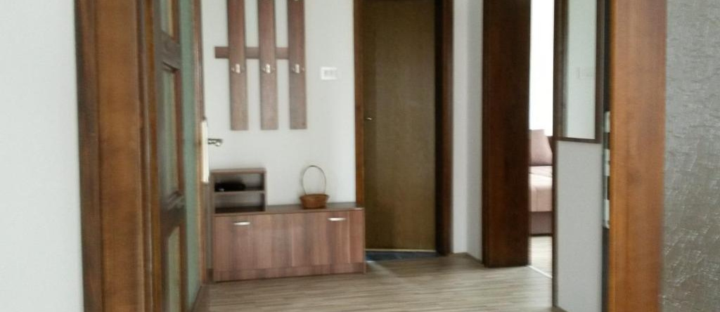 S&G Apartment, Vranje — photo 1
