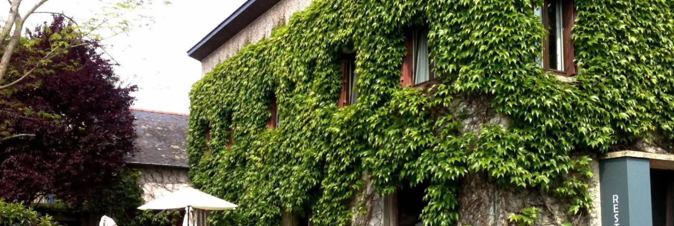 Hôtel de la Levée, Betton — photo 1