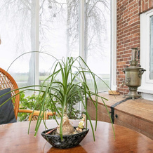Garden-view Holiday Home in Funen With Terrace, Bogense — photo 3