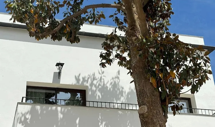 Casa Yanguas Apartamentos Rurales, Laujar de Andarax — photo 1