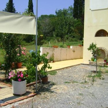 Scorpios Apartments, Dassia — photo 5
