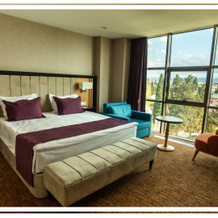Premium Ganja Hotel, Ganja — photo 4