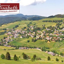 Pension Elisabeth, 托特瑙 — 照片 4