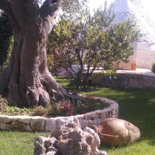 Bouganville B&b, Ceglie Messapica — photo 2