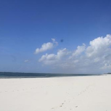 Diani Marine Divers Village, Msambweni — photo 5