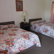 Cadet Motel, Firthcliffe — photo 2