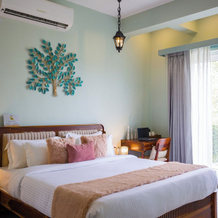 Elivaas Festiva Mansion 3 Bhk Villa, Удаипур — фото 4