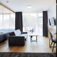 Hotel Beskid Balneo Medical Resort & SPA, 皮维奇纳兹德鲁伊 — 照片 4