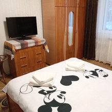 Apartament 3 Camere In Regim Hotelier, Бырлад — фото 5