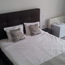 Anacris Guesthouse, Костинешти — фото 5