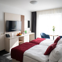 Airport Hotel Budapest, 韦切什 — 照片 3