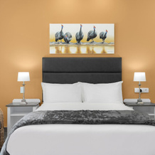 Park Hotel Mokopane, 莫科帕内 — 照片 3