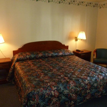 Heidelberg Motel by Capital O Bridgeport Frankenmuth I 75, 切萨宁 — 照片 3