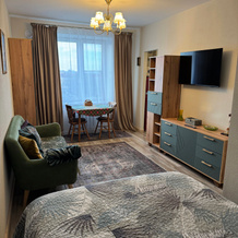 Retro Studiya Na Krepostnoy 39 Flat, Vyborg — photo 4