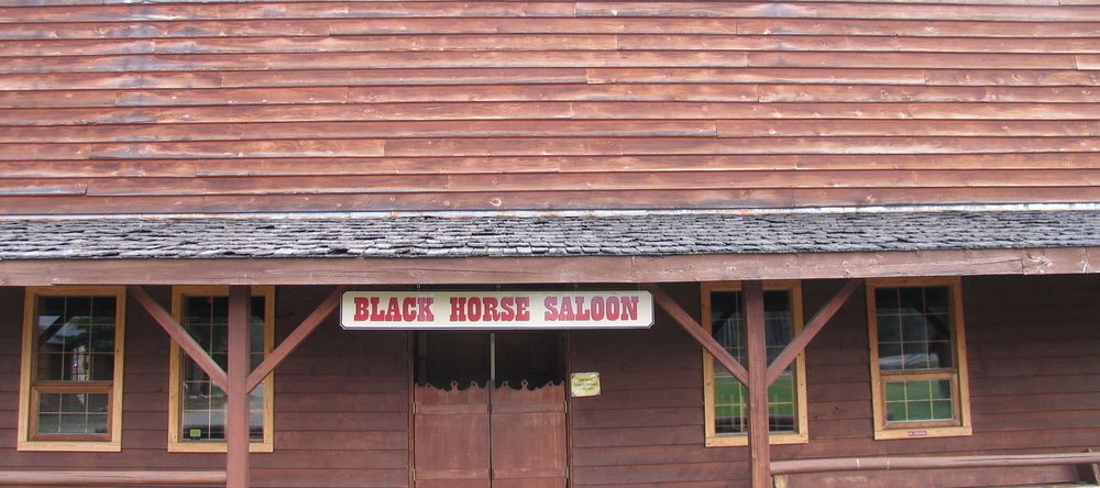 Wells Gray Guest Ranch, Клируотер — фото 1