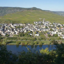 Homestay Öko-Weingut Roman Herzog, Минхайм — фото 2