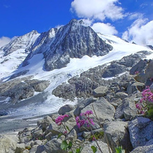Alpenсolor Hotel Tonale, 托纳莱山口 — 照片 4