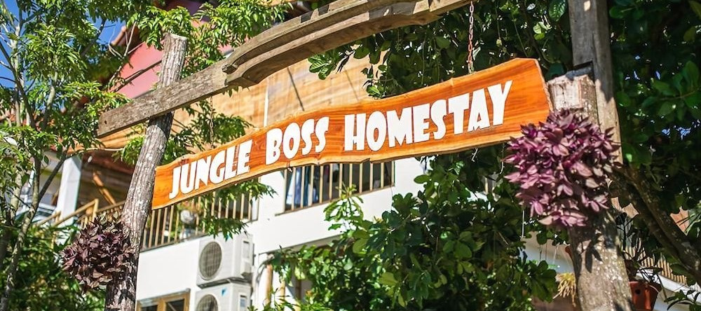 Jungle Boss Homestay, Phong Nha — photo 1