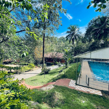 Treetop Resort, Melattoor — photo 4