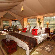 Leleshwa Camp, Keekorok — photo 2