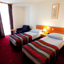 Hotel Creina, 克拉尼 — 照片 3