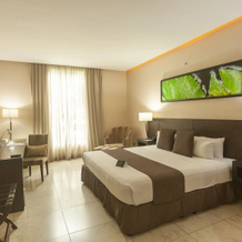 Studio Hotel Boutique, Санта-Ана — фото 5