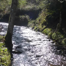 Le Moulin Gitenay - Yourte, 拉普吕涅 — 照片 3