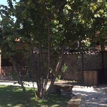 Hotel Kavkasioni, Кварели — фото 3