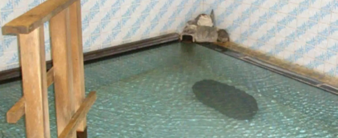 Horieya Ryokan, Фукушима — фото 1