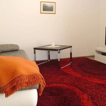 Rebenrain Comfortable Holiday Residence, Steinach — photo 5