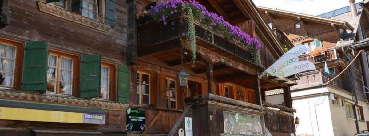 Le Vieux Chalet, 格施塔德 — 照片 1