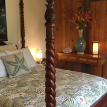 Areca Palms Estate Bed And Breakfast, 库克船长 — 照片 4