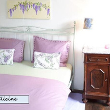 B&B Il Calicanto, 比亚斯卡 — 照片 5