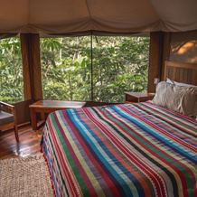 Destino Mío Mayan Jungle Retreat, 特科 — 照片 2