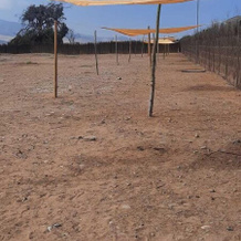 Atacama Glamp, 瓦斯科 — 照片 4