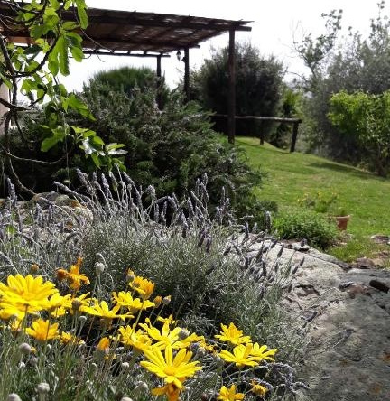 Agriturismo Colleverde Capalbio, Капальбио — фото 1