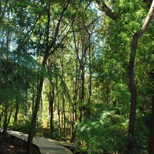 Chucao Bosque Y Cabañas, Чайтен — фото 2